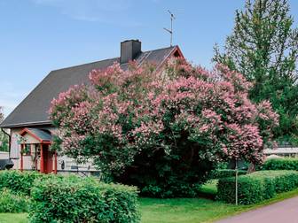 Bostadsbild