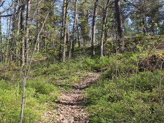 Arkösundsvägen 514