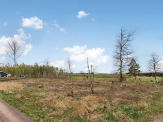 Fina tomter mellan skog och slätt, endast 20 min från Linköping