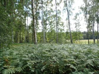 Gräsudden, Åtsjön