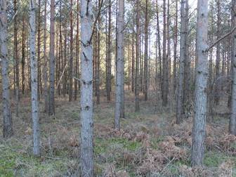 Follingbo Nygårds 513