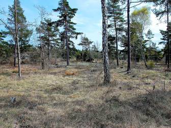 Bunge Sandviksvägen 29