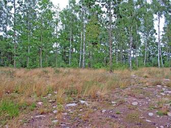 Norra Korpemåla 326