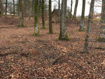 Nu har man möjlighet att förvärva en tomt i Vittsjö.Här finner Du vacker miljö med närhet till sjön 