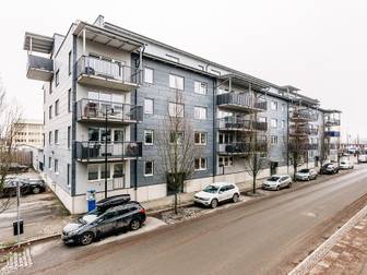 Hadar Grudes Gata 11