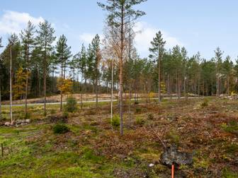 Bostadsbild