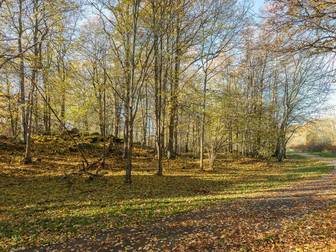 Skogsvägen 12, Skogsvägen 14, Kristlandsgränd 10