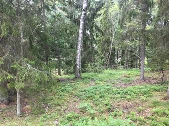 Hummelmoravägen 52 (prel)