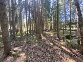 Bostadsbild