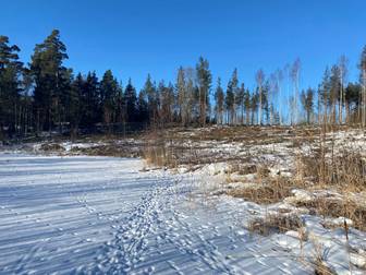 Bostadsbild