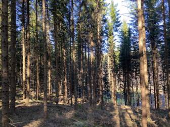 Björketorp 15:3, del av