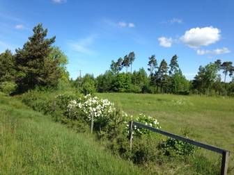 Kräklingbo Hajdeby 183B