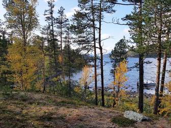 Kvikkjokk / Årrenjarka