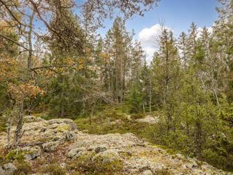 Bostadsbild