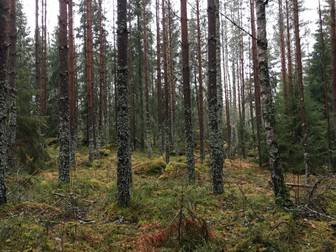 Enköping Frösthults-Mälby 2:3, del av