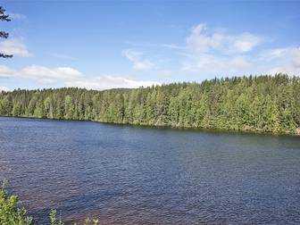 Insjön vid Österdalälven