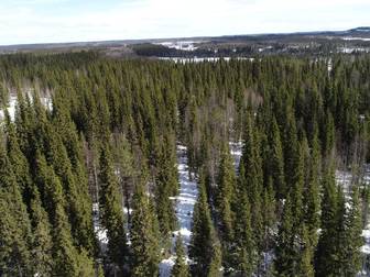 Strömsund Brattbäcken 1:63