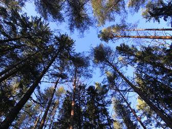 Avesta Sör Nävde 14:15, 35:3 och 38:1