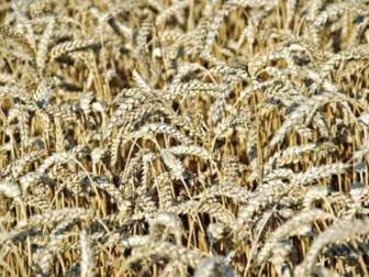 Gård med jordbruk i Härslöv