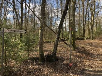 Ollonborrstigen (18)