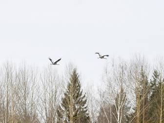 del av Ljusdal Skriksvik 2:6