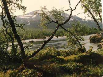 Umfors » Stor, älvnära tomt med bl.a. jakt- och fiskerätt!