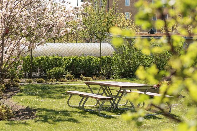 2 rum Lägenhet på Rödkullastigen 11B Almhög Malmö kommun - bild 20