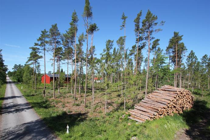 tomt på Sanda Bjästavs 110, Tomt A Sanda - Västra Gotland, Gotlands kommun - bild 1
