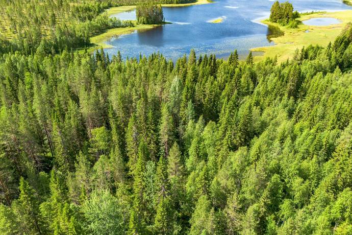 gård med skogsbruk på STRÖMSUND TÅSJÖ 4:48 Tåsjö, Strömsunds kommun - bild 3