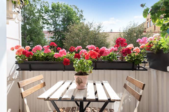 3 rum Lägenhet på Höganäsgatan 3B Höganäs Uppsala kommun - bild 9
