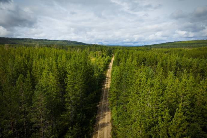 BERG NEDERHÖGEN 1:3, Rätan, Bergs kommun