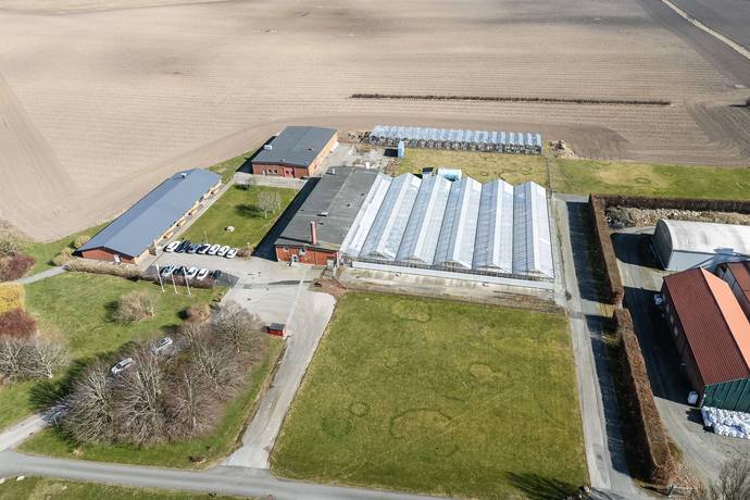 Hammenhög, Simrishamns kommun