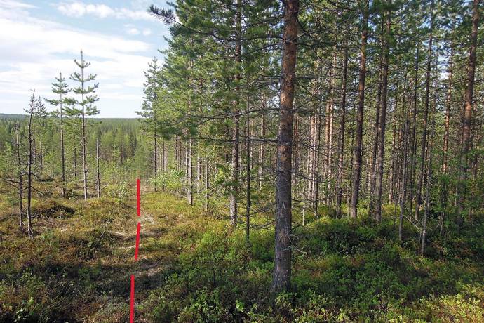 Gård/skog på Gällivare Skröven 14:1 Norrbotten Gällivare kommun - bild 9