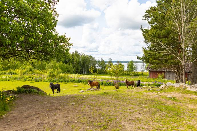 9 rum Gård utan jordbruk på Flatvik 610  Flatvik Karlstads kommun - bild 7