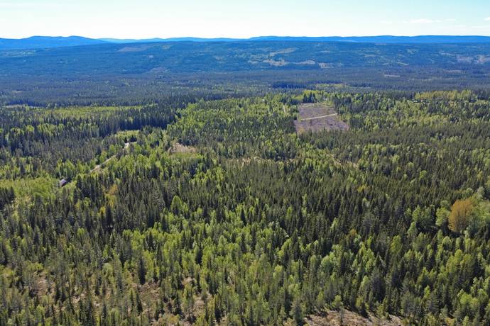 Gård med skogsbruk på Aspberget  Torsby kommun - bild 5