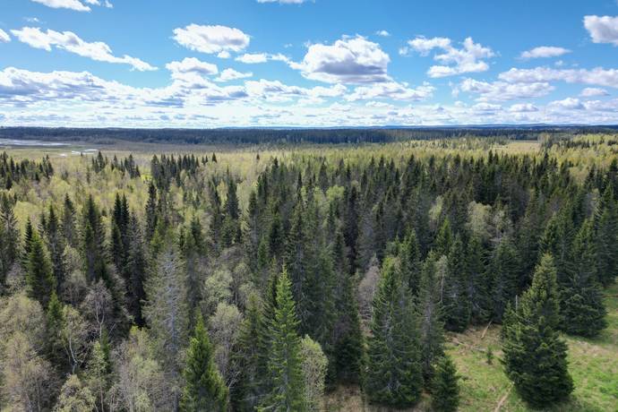 Gård/skog på Åre Rörön 1:2, 2:2 samt 2:3 Åre kommun - bild 41