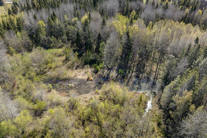 Gård/skog på Norrlövsta Östhammars kommun - bild 10