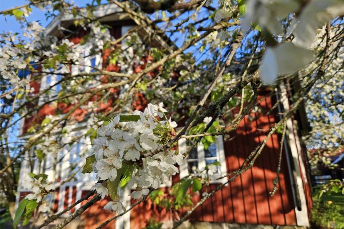 3 rum Vinterbonat fritidshus på Barne-Åsaka Jonastorp 704 Jonslund Med Omnejd Essunga kommun - bild 40