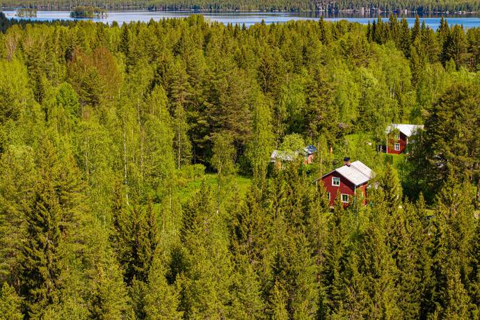 gård/skog på Vågdalen Strömsund, Strömsunds kommun - bild 1