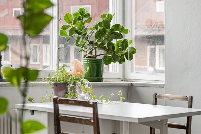 1 rum lägenhet på Sturegatan 3B Centralt, Linköpings kommun - bild 5