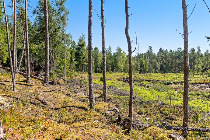 tomt på Segerstad Göviken Liljenäs, Karlstads kommun - bild 3