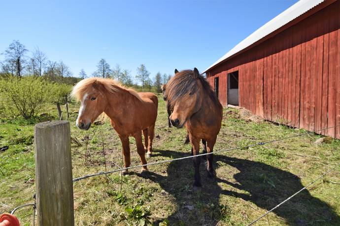 10 rum Gård/skog på Baggekulla 101, 102, 103, 104 Västergötland Ulricehamns kommun - bild 71