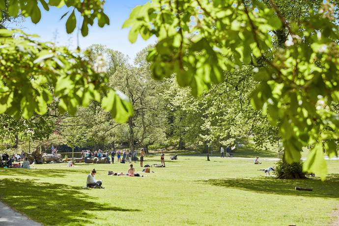 1.5 rum Lägenhet på Sjömilsgatan 13 Flatås Göteborgs kommun - bild 31