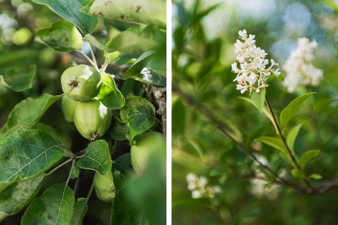 4 rum Villa på Klockaregårdsvägen 3 Hjärup Staffanstorps kommun - bild 31