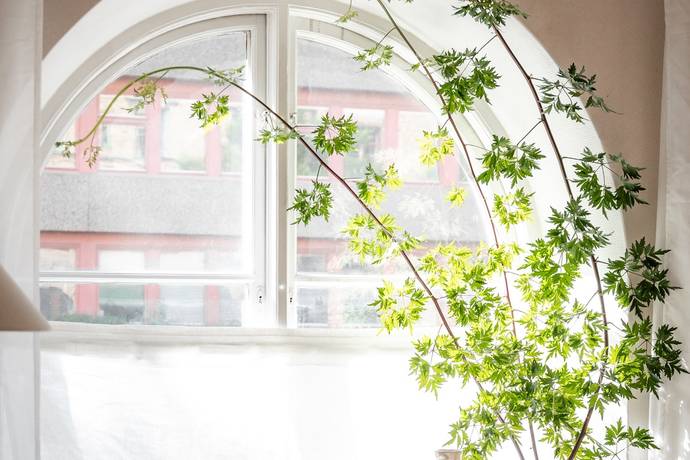 2 rum lägenhet på Vegagatan 56 Linnéstaden, Göteborgs kommun - bild 3