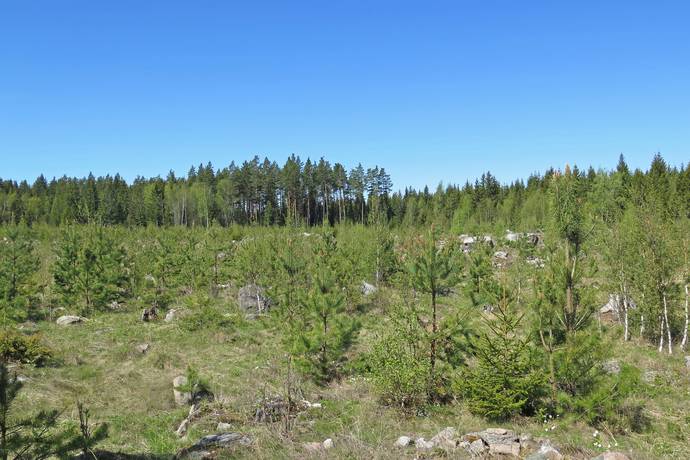 Gård/skog på Norrlövsta Östhammars kommun - bild 6