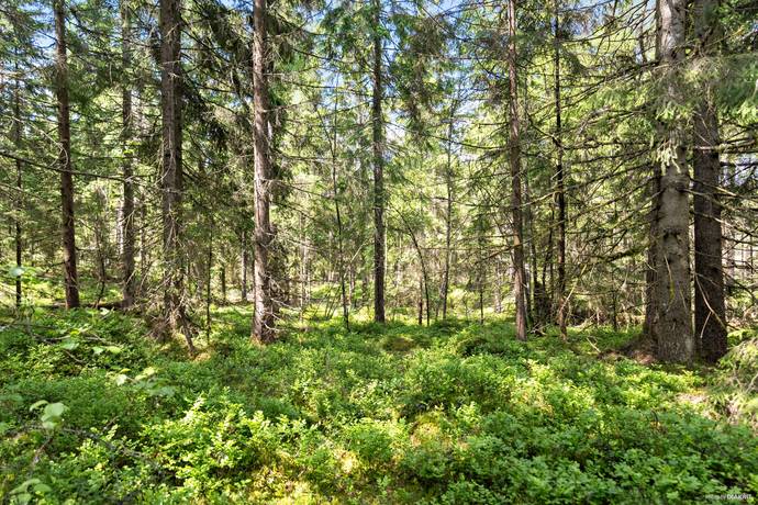 2 rum Fritidshus på Tjärnhult 2 Skogsbygden Vårgårda kommun - bild 12