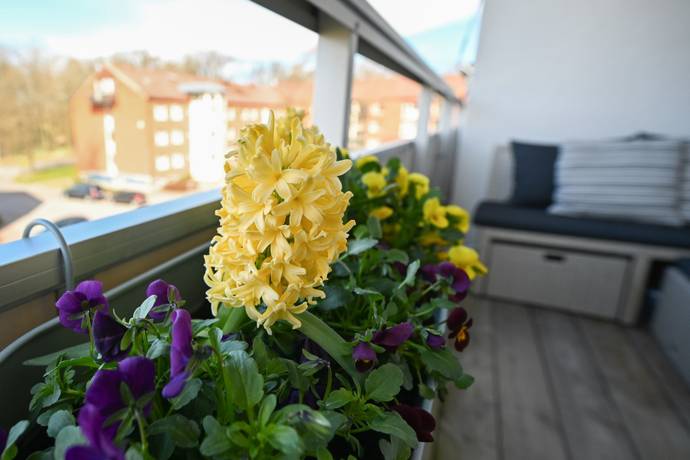 3 rum Lägenhet på Klockhusgatan 7B Skälby Kalmar kommun - bild 16