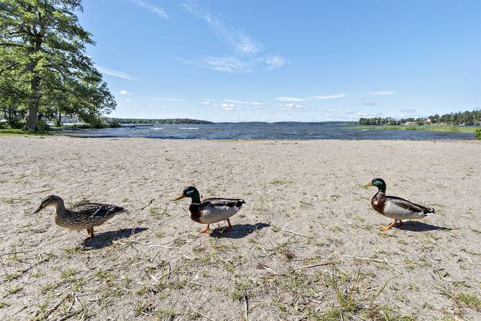 2 rum Lägenhet på Gulddragargränd 52 Vällingby-Grimsta Stockholms kommun - bild 21