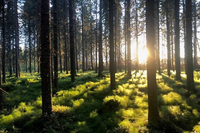 Ljusvattnet, Skellefteå kommun